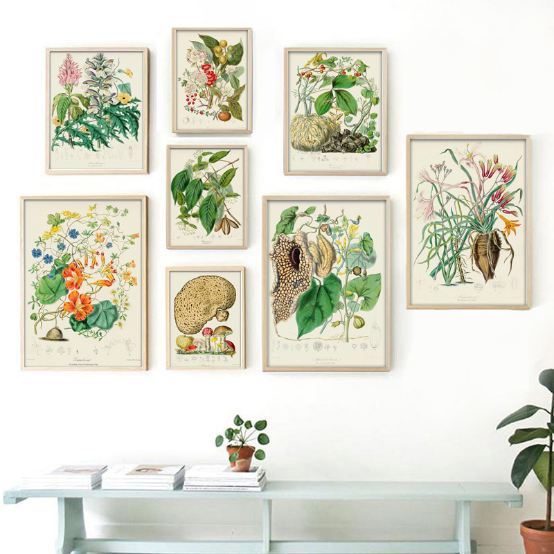 Botanical Collection Vintage P - Vintage Collectible Posters ulasan dan harga