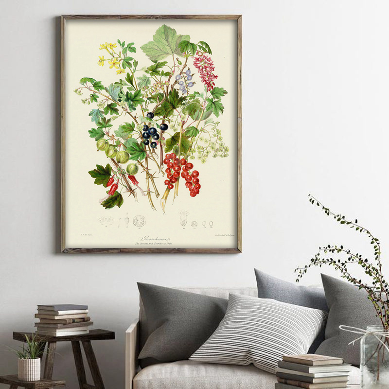 Botanical Collection Vintage P - Vintage Collectible Posters ulasan dan harga